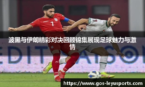波黑与伊朗精彩对决回顾锦集展现足球魅力与激情