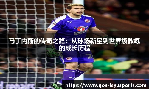 乐鱼体育官网