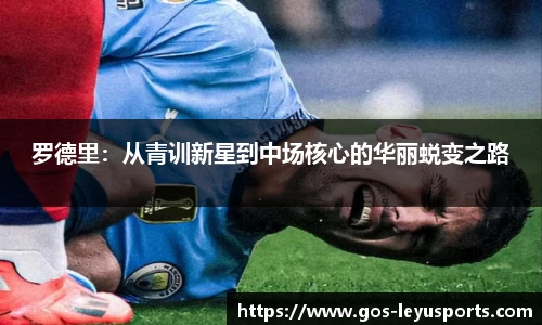 乐鱼体育app