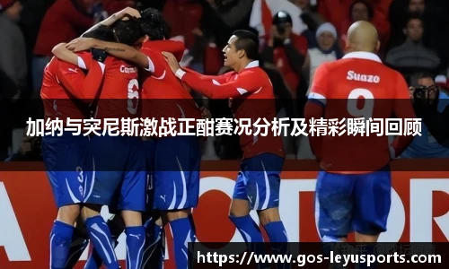 加纳与突尼斯激战正酣赛况分析及精彩瞬间回顾