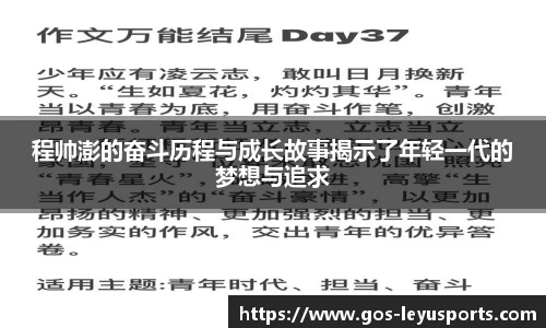 程帅澎的奋斗历程与成长故事揭示了年轻一代的梦想与追求